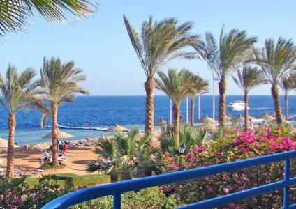 Queen Sharm Aqua Park - 16