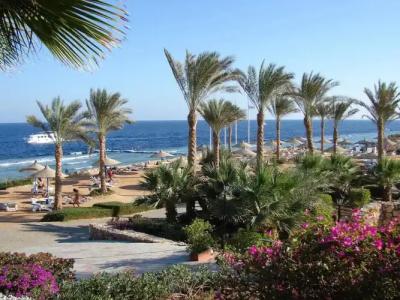 Queen Sharm Aqua Park - 14