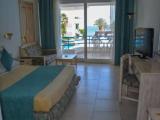 Standard Double room with pool view