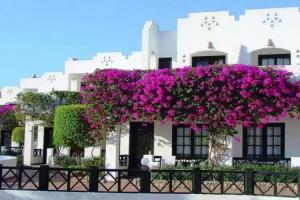 Verginia Sharm Resort & Aqua Park, Sharm el Sheikh