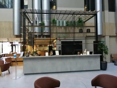 Skyline Airport - 30