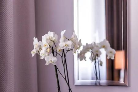 Hôtel des Augustins - 38