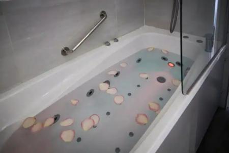 Best Western Plus Carlton Annecy - 18