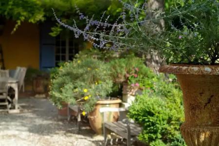 Mas de la Chapelle - 16