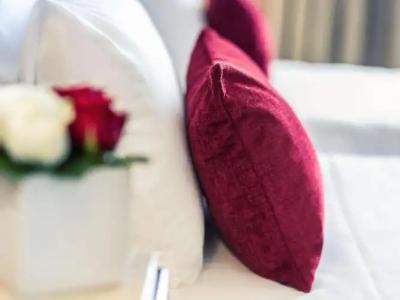 Mercure Plaza Biarritz Centre - 76