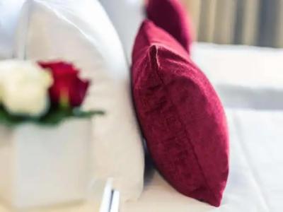 Mercure Plaza Biarritz Centre - 88