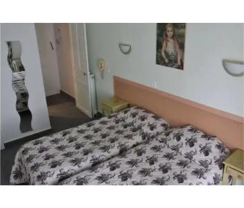 Hôtel De France Et De Guise - 8