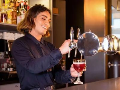 ibis Bordeaux Centre Meriadeck - 25