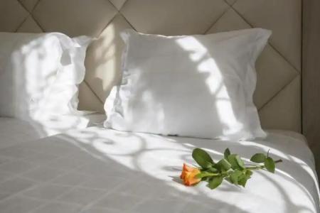 GOLDEN TULIP CANNES de PARIS - 280