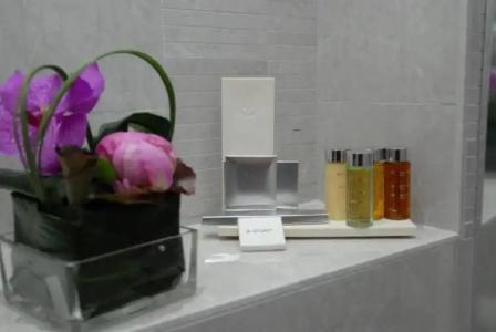 GOLDEN TULIP CANNES de PARIS - 319