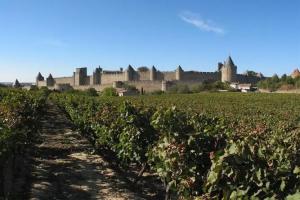 Hotel «Hôtel du Soleil Le Terminus», Carcassonne