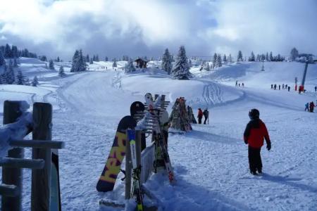 Chalet Hôtel du Bois - 26