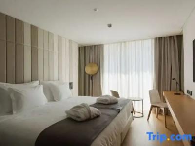 Kyriad Prestige Clermont-Ferrand - 95