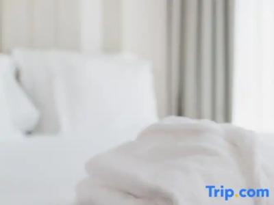 Kyriad Prestige Clermont-Ferrand - 116