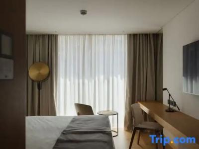 Kyriad Prestige Clermont-Ferrand - 115