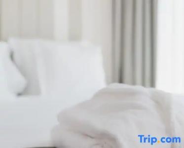 Kyriad Prestige Clermont-Ferrand - 142