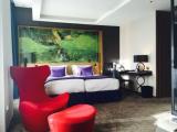 Standard room with view