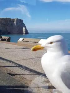 La villa 10 HÔTEL SPA - 25