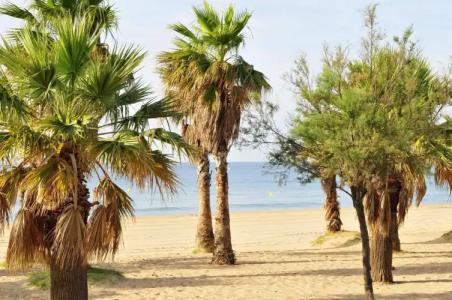 Hôtel Miléade Méditerranée - Port-Fréjus - 15