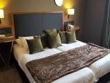 2 Bedrooms Standard Family room
