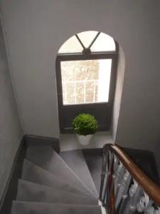 Hôtel Tête d'or - 13