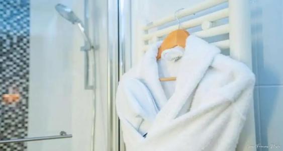 Best Western Plus Metz Technopole - 108