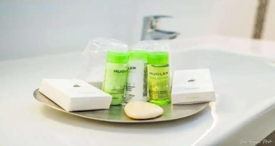 Best Western Plus Metz Technopole - 106