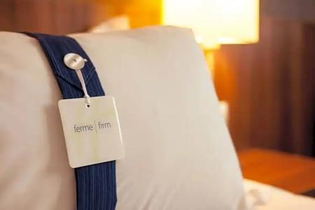 Holiday Inn Express Montpellier - Odysseum, an IHG - 43