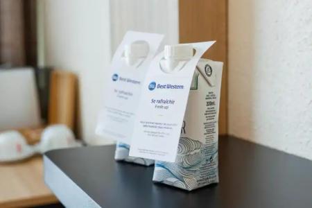 Best Western Mulhouse Salvator Centre - 28