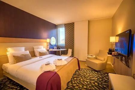 Mercure Mulhouse Centre - 55