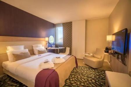 Mercure Mulhouse Centre - 60