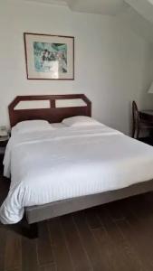 Du Parc - Mulhouse Centre - 61