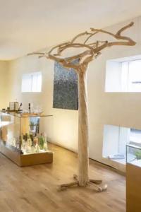 Hôtel La Pérouse - 29