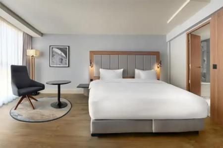 Radisson Blu Nice - 101