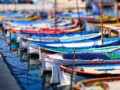 Mercure Marché Aux Fleurs - 17