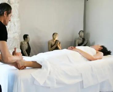 Le Windsor, Jungle Art - 34