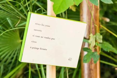 Le Windsor, Jungle Art - 43