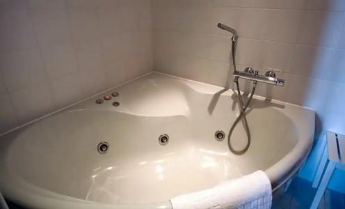 Le Windsor, Jungle Art - 99