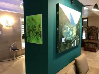 Le Windsor, Jungle Art - 26