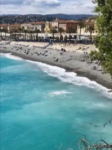 Le Windsor, Jungle Art - 14