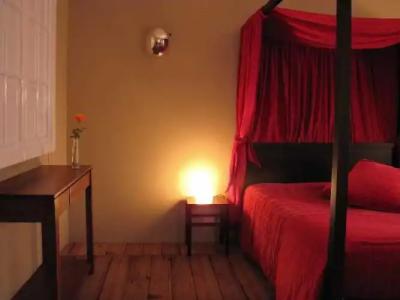 Le Windsor, Jungle Art - 70