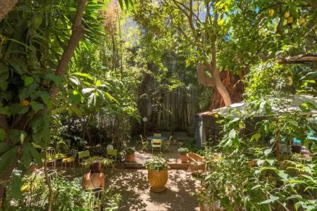 Le Windsor, Jungle Art - 15