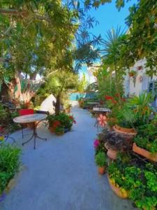 Logis Hôtel Villa Victorine - 30