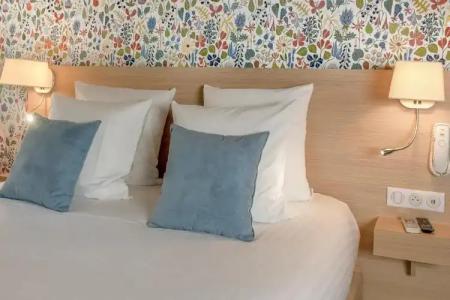 Hôtel Du Centre, un hôtel AMMI - 110