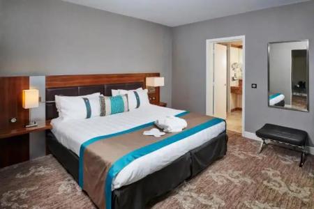 Holiday Inn Nice, an IHG - 101