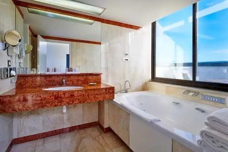 Holiday Inn Nice, an IHG - 127