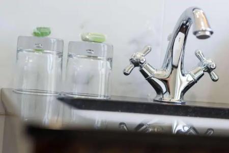 The Jay by HappyCulture - 10