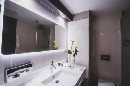 Mercure Pau Palais des Sports - 35