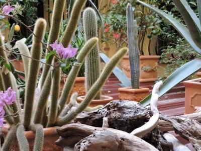 Hôtel De La Loge - 12