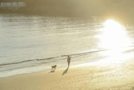 CERISE Royan - Le Grand Hôtel de la Plage - 16